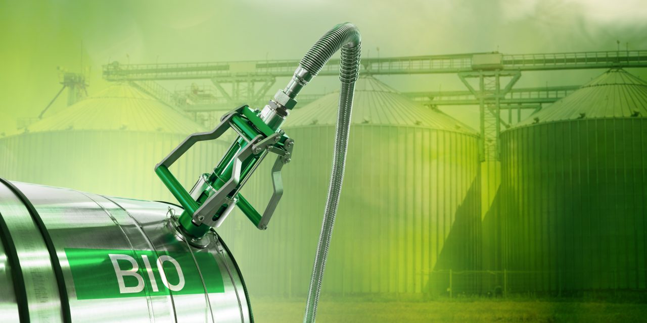 Photobioreactors for a Greener Future: The Role of Microalgae in Clean Energy