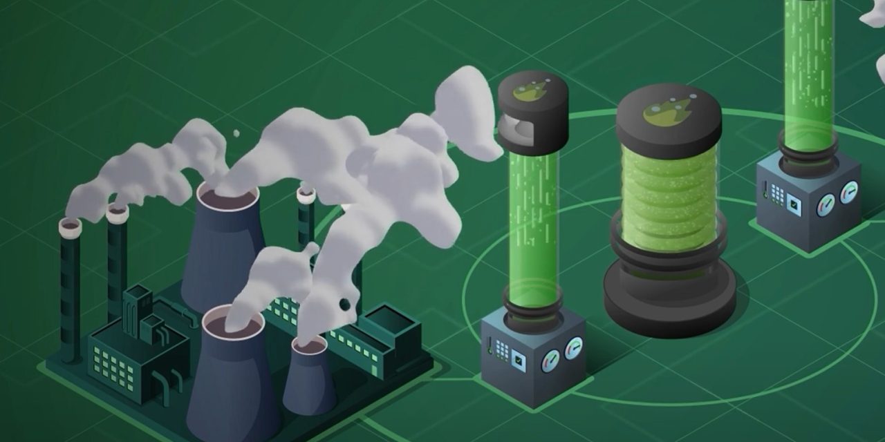 Transforming Biofuel Production: FUELGAE’s Study on Catalyst Supports and Pelletization