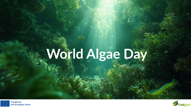 Submarine landscape with algae and a central title in white reading World Algae Day