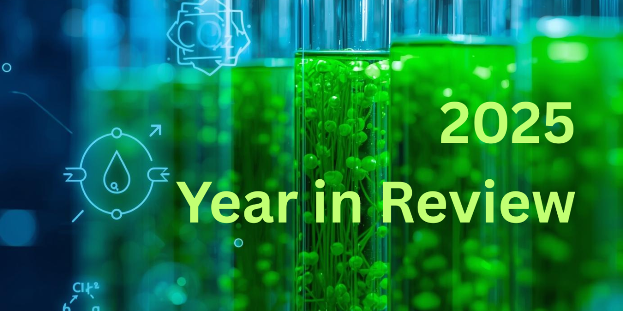 Powering the Green Transition: Inside FUELGAE’s 2025 Progress