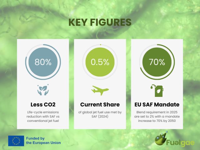 Key figures of SAF: 80% lower CO2 with SAF than with conventional jet fuel. 0.5% current share of global jet fuel use met by SAF (2024). 70% EU SAF Mandate blend requirement in 2025 are set to 2% with a mandate increase to 70% by 2050.