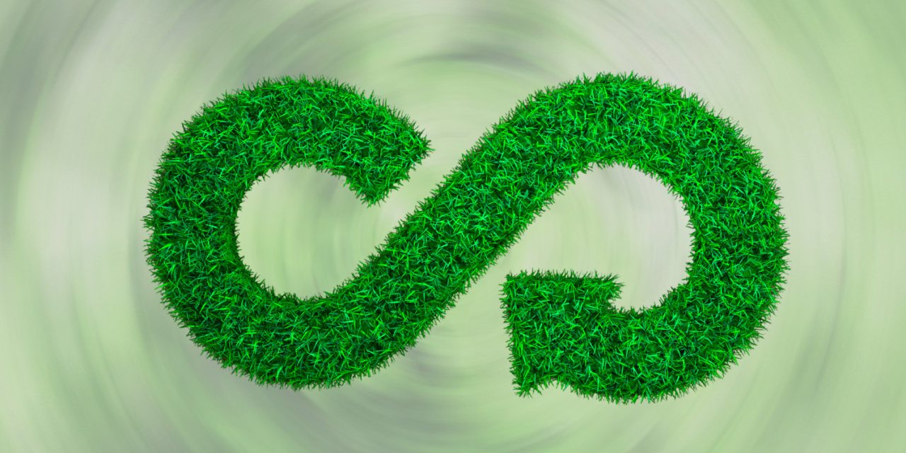 BIOREFINE: Creating Synergies for a More Circular and Sustainable Europe